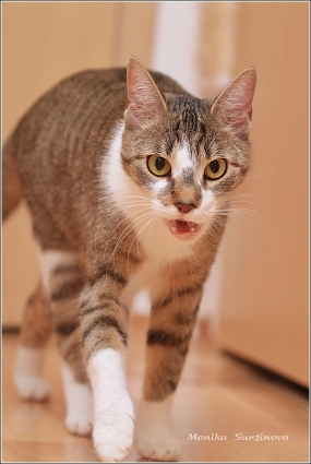 <p>Mia</p>